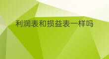 利润表和损益表一样吗 利润表与损益表的区别