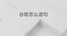 谷歌怎么造句 收录怎么造句