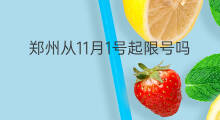郑州从11月1号起限号吗 11月22号起郑州限号吗
