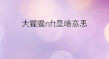 大猩猩nft是啥意思 大猩猩是社群动物吗