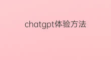 chatgpt体验方法(跨境电商查验方法)