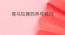 喜马拉雅的养号技巧 喜马拉雅养账号方法