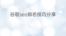 谷歌seo排名技巧分享 谷歌seo排名技巧分析