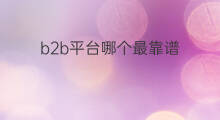 b2b平台哪个最靠谱 b2b群发软件靠谱吗