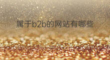 属于b2b的网站有哪些 哪些网站属于b2b
