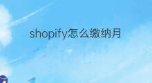 shopify怎么缴纳月租 shopify月租怎么选