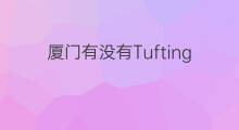 厦门有没有Tufting手作 tufting手作店需要啥