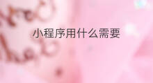 小程序用什么需要 小程序需要学什么