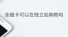 全磁卡可以在独立站购物吗 国内可以在国际站购物吗