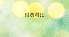 付费对比 付费智能翻译对比