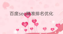 百度seo精准排名优化 肇庆百度seo排名优化