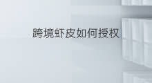 跨境虾皮如何授权 虾皮跨境电商怎么授权