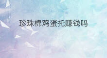 珍珠棉鸡蛋托赚钱吗 养珍珠赚钱吗