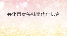 兴化百度关键词优化排名 兴化百度优化排名