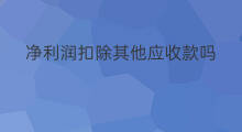 净利润扣除其他应收款吗 扣非净利润包括应收吗