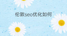 伦敦seo优化如何 伦敦seo优化技巧
