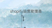 shopify运营助理是做什么的 淘宝运营是做什么的