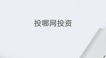 投哪网投资 投哪投资
