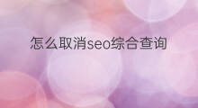 怎么取消seo综合查询 seo综合查询指什么
