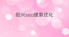 绍兴seo搜索优化 绍兴seo优化基础
