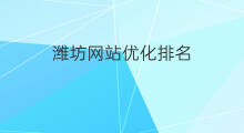 潍坊网站优化排名 潍坊seo优化服务