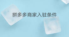 拼多多商家入驻条件 shopify商家入驻条件