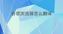 谷歌浏览器怎么翻译 谷歌浏览器翻译在哪