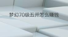 梦幻70级五开怎么赚钱 70级五开如何赚钱