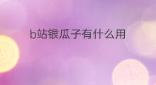 b站银瓜子有什么用 b站金币有什么用