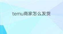 temu商家怎么发货 Temu平台商家发货发到哪里