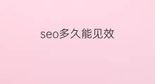 seo多久能见效 seo多久可以见效