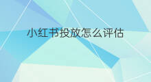 小红书投放怎么评估 跨境电商脸书投放价格