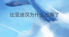 比亚迪汉为什么出海了 比亚迪为啥出海洋