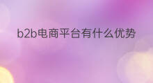 b2b电商平台有什么优势 b2b商务平台有哪些优势