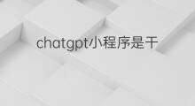 chatgpt小程序是干什么的 快手简小徐是干什么的