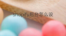 shopify后台怎么设置中文 shopify有中文后台吗