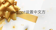 chatgpt设置中文方法(chatgpt中文设置)