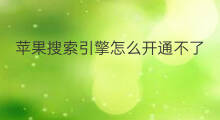 苹果搜索引擎怎么开通不了 哪个苹果搜索引擎好听