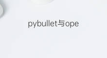 pybullet与openai区别 openai和chatgpt区别