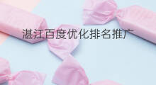 湛江百度优化排名推广 湛江百度推广优化排名