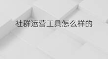 社群运营工具怎么样的 汕头怎样做社群运营工具