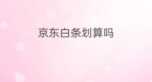 京东白条划算吗 京东打白条划算吗