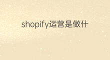shopify运营是做什么的 淘宝运营是做什么的