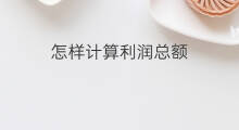 怎样计算利润总额 利润总额是什么