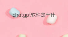 chatgpt软件是干什么的(chatgpt小程序是干什么的)