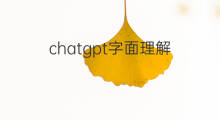 chatgpt字面理解(chatgpt的字面意思是什么)