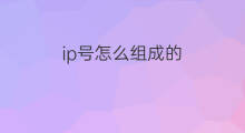 ip号怎么组成的 ip是哪两个号组成的