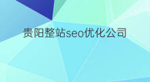 贵阳整站seo优化公司 邯郸整站seo优化公司