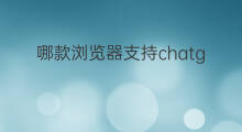 哪款浏览器支持chatgpt(支持chatgpt的浏览器)