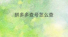 拼多多查号怎么查 刷拼多多单怎么查号